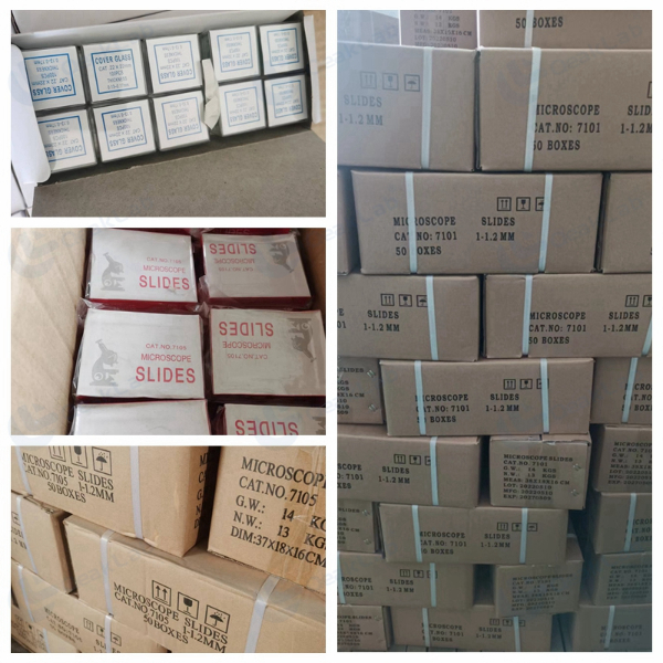 cover-slip8.jpg cover-slip8.jpg